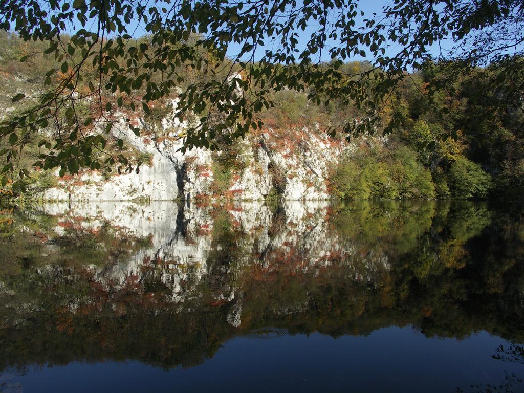 B&B Plitvice Lakes Villa Irene Seliste Dreznicko Exterior photo
