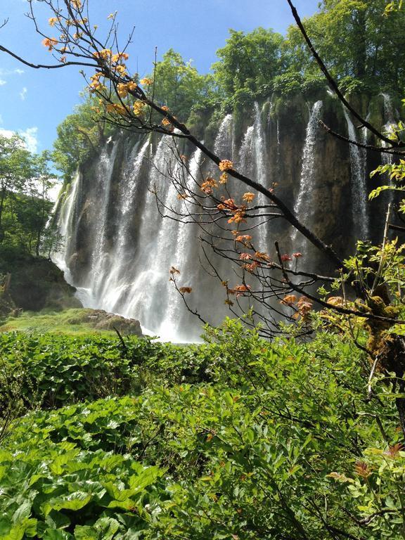 B&B Plitvice Lakes Villa Irene Seliste Dreznicko Exterior photo